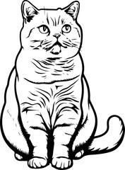 Obraz premium British cat clipart desing illustration 