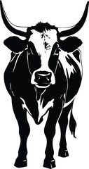 Delightful Cow Art – Perfect for Farmhouse Elegance