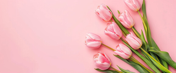 Fototapeta premium Pink Tulips, Floral Background, Spring Flowers, Flower Bouquet, Pink Aesthetic, Tulip Arrangement, Pastel Colors, Minimalist Design, Nature Beauty, Elegant Flowers, Botanical Art, Flower Photography