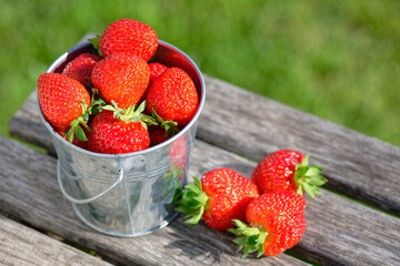 Strawberries in a bucket on the background of a green lawn