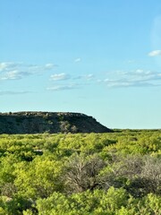 landscape with sky