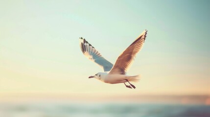 Naklejka premium Seagull in flight against clear sky with blurred background