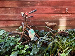 Old Vintage, rusty bike leans on a red wooden wall
