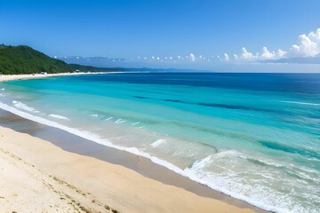 Obraz premium 日本の観光名所で夏を満喫