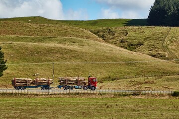 Fototapeta premium Logging track carrying timber in New Zealand