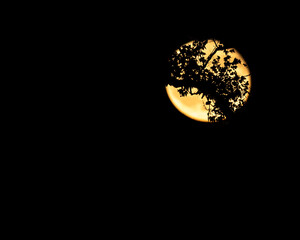 Full Moon Through Tree 2