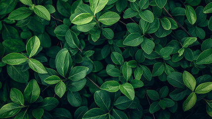 Green and colored tropical leaves on bright colorful background