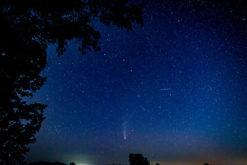Naklejka premium Neowise Comet 5