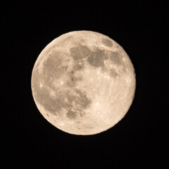 Full Moon 2