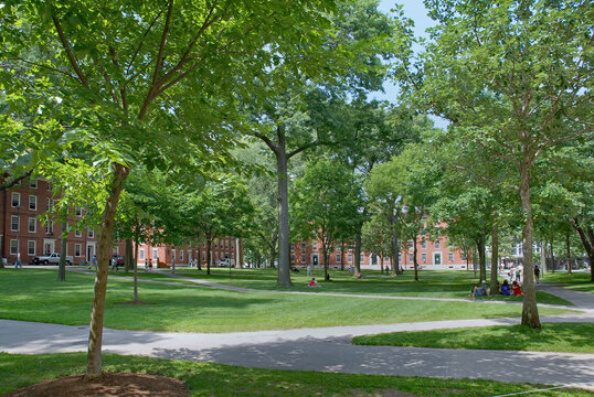 Harvard University, Harvard Yard courtyard
