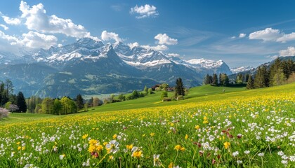 Obraz premium Sunny alpine landscape idyllic springtime scene with blossoming meadows in high quality image