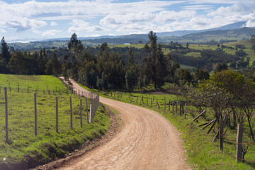 Dirt road in a rural Colombian landscape with trees and mountains.