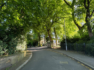 Obraz premium A canopy of green trees casts shade over a curving road in a serene residential area. A footpath runs alongside the road, bordered by a stone wall on, Clifton Villas, Bradford, UK