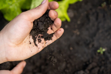 A closeup of a hand holding fertile ecological soil for planting