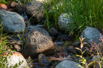 A small stream in the grass