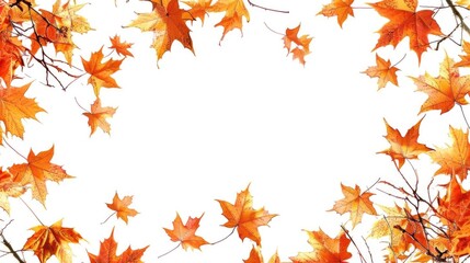 White background framed with colorful autumn leaves.