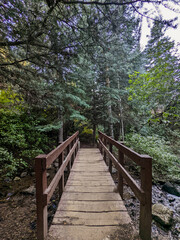 Summer Hiking Views at Adams Canyon Layton City Utah