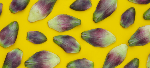 Fresh green purple artichoke petals