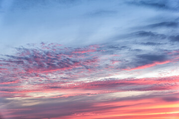 Cloudscape with pink fluffy clouds in sunset sky