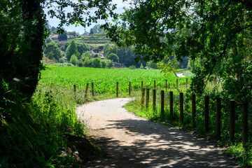 Naklejka premium Lima River trail