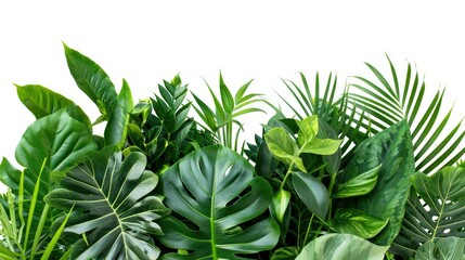 Tropical Greenery Collage: A Lush Collection of Vibrant Leaves