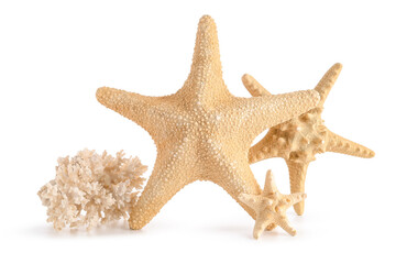 Beautiful starfishes and coral on white background