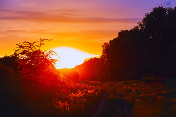 Way to the sun in twilight. Sunset over a field with trees in the background
