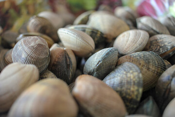 clams are ready to cook