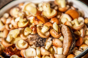An autumn Mashroom season and picking. Bowl with edible mushrooms.