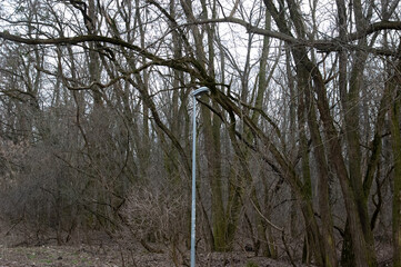 a lone extinguished lantern surrounded by bare trees