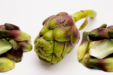 Purple artichoke on white background.