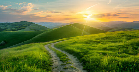 Fototapeta premium A green bright meadow