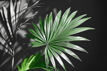 Fototapeta premium Plant that is sitting in a vase