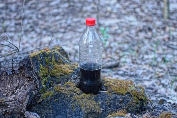 one plastic bottle with a black drink lemonade stands on an old tree in green moss in nature