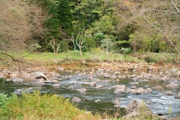 water flows over the rocks in a river in the mountains, the ohenemuri river