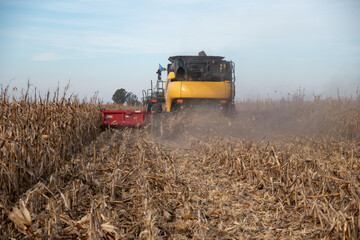 Obraz premium Cosechando maíz en Córdoba, Argentina, vista trasera cosechadora