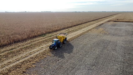 Tractor con transporte de granos de maíz, campo argentino, semillas, aérea con dron, transporte