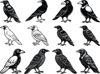 American crow silhouette vector art illustration, American crow cut file, American crow laser cut file, American crow cricut file, American crow wood engraving file, American crow laser engraving file