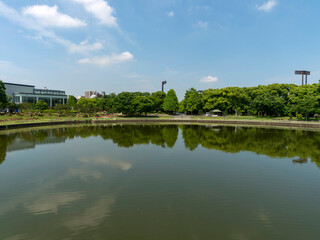 長居植物園と池の風景