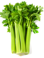 Fresh Green Celery Stalks on White Background