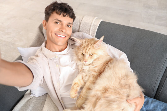 Handsome young happy man with cute Maine Coon cat taking selfie on sofa at home - Powered by Adobe