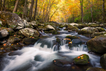 Autumn foliage and cascading water in the great smoky mountain national park