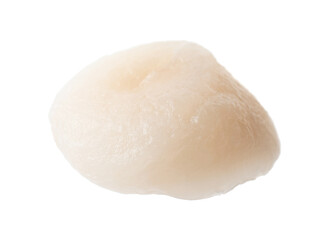 One fresh raw scallop isolated on white