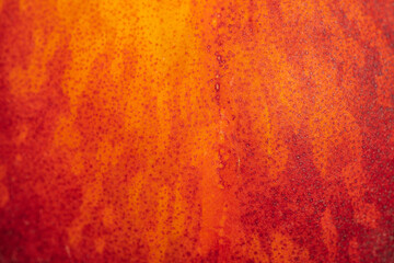 close up of yellow peach fruit with no fuzz