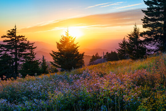 Scenic summer sunset over mountain side meadow in the appalachian mountains of virginia