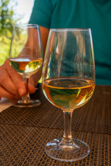 Tasting of Bordeaux white wine in Sauternes, left bank of Gironde Estuary, France. Glasses of white sweet French wine served in restaurant