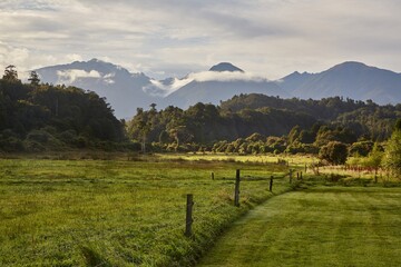 Obraz premium Countryside landscape in green New Zealand