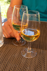 Tasting of Bordeaux white wine in Sauternes, left bank of Gironde Estuary, France. Glasses of white sweet French wine served in restaurant