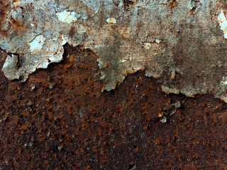 rust on iron plates. rusty iron white. rusty iron texture