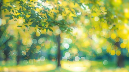 Obraz premium Abstract blurred image of trees and green leaves in a sunny park